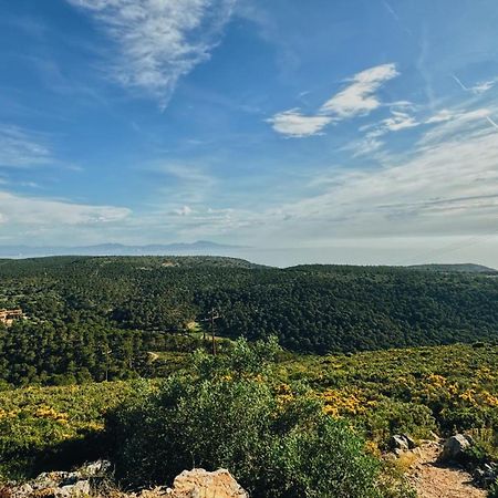 Can Romy Appartement T3 B - A 20M De La Plage De Cala Montgo Л'Аскала Екстер'єр фото